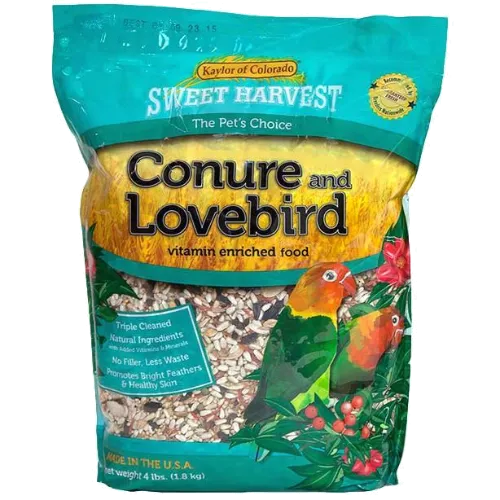 kaylor lovebird conure